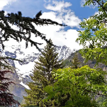 Appartamento Spazioso A