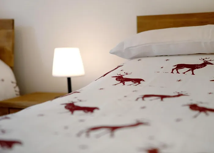 Apartment Spazioso A